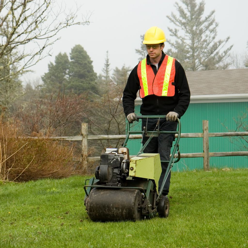 Excavation and Landscaping Services in Comfort Texas​