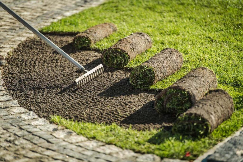 Excavation and Landscaping Services in Kerrville Texas​