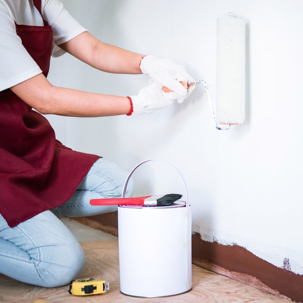 Painting Contractor Services Blanco TX​