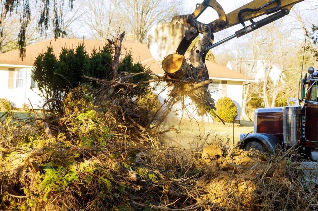 Why Choose Our Team for Excavation and Landscaping​